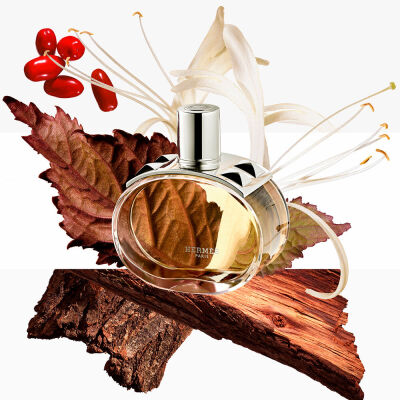 Hermes Barenia Refillable Edp 60 ml - 2