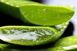 Jeunesse Aloe Vera Gel 250 ml - 2