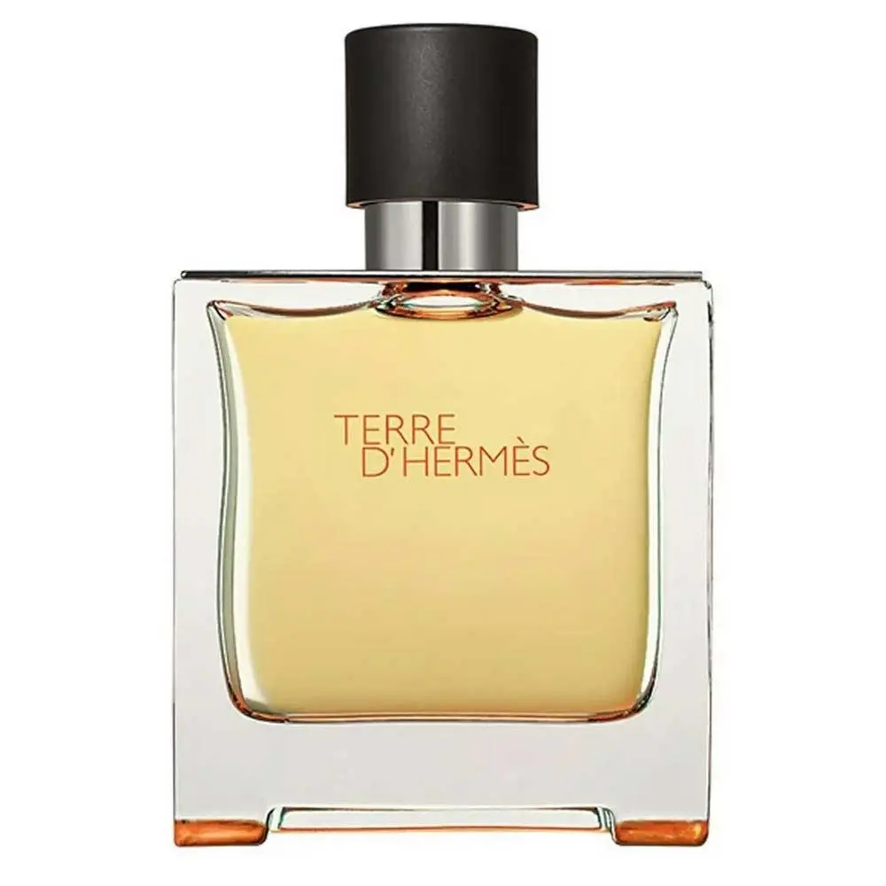 Terre D'Hermes Pure Parfum 75 ml - 2