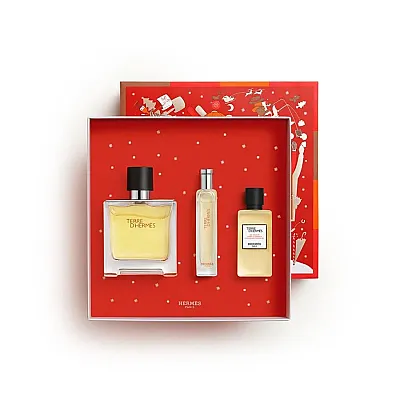 Terre D'Hermes Pure Parfum 75 ml Set - 2